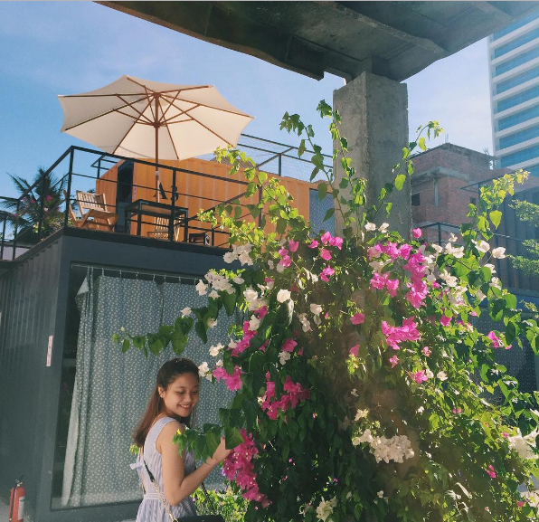 View thiên nhiên Packo Hostel Đà Nẵng