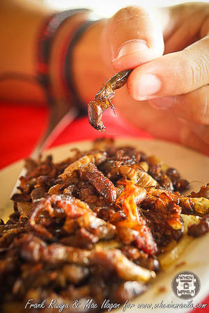 Dế chiên Camaro ở Philippines