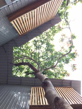 Nghĩ đến khung cảnh sáng ngủ dậy bên cửa sổ đầy nắng và cây xanh tại Peace House Phú Quốc chắc chỉ muốn ngủ nướng nguyên ngày thôi.