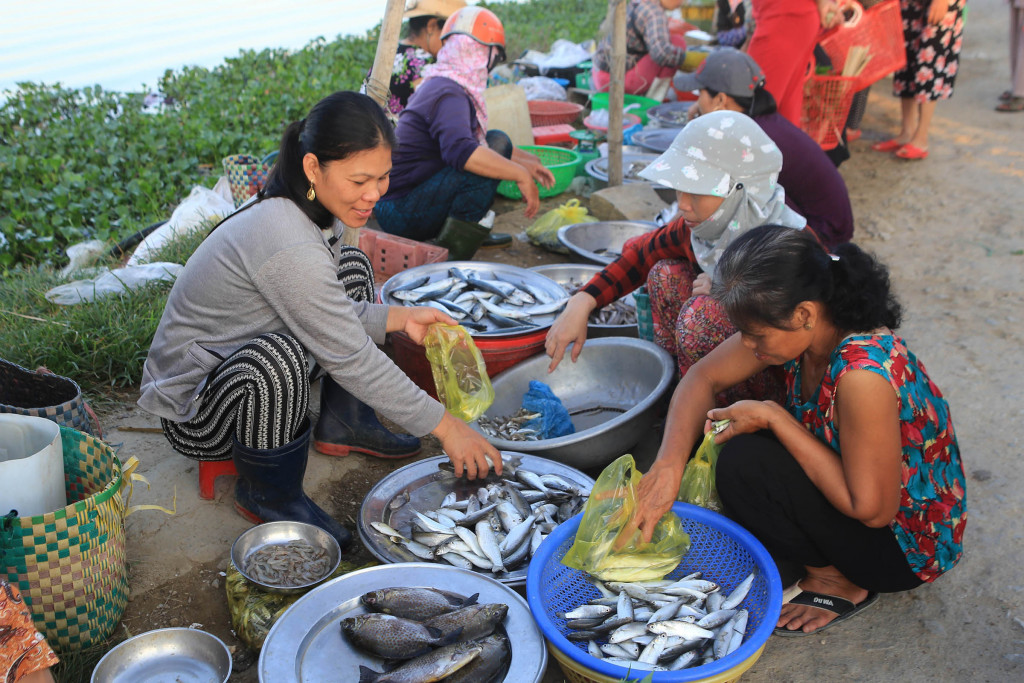 Chợ cá họp sớm bên phá Tam Giang
