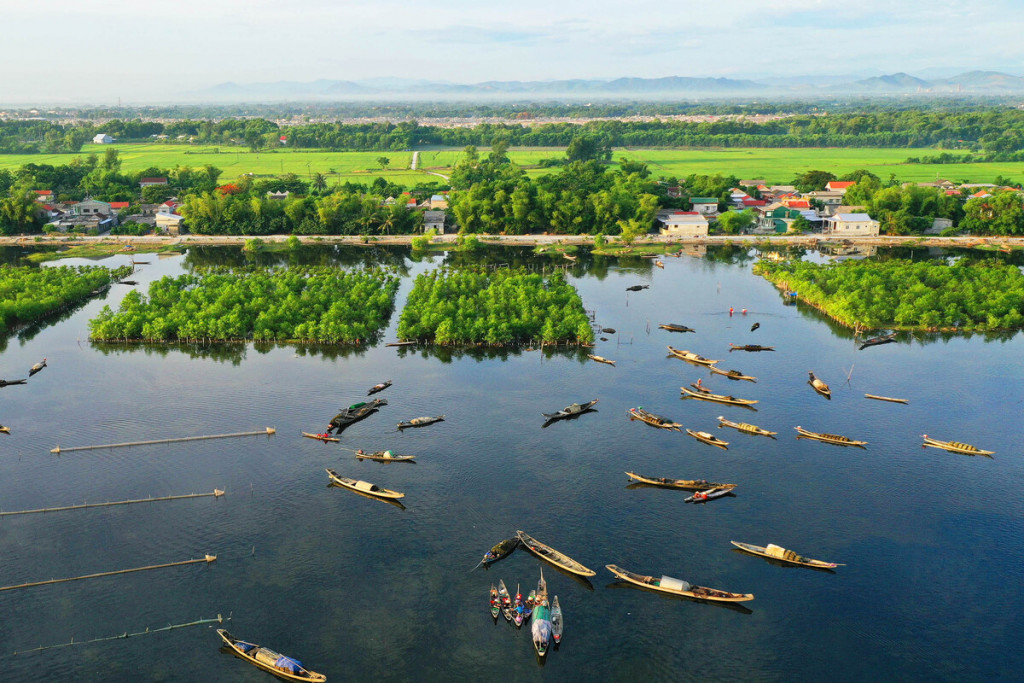 Phong cảnh thiên nhiên khi khám phá phá Tam Giang