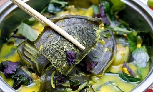 Lẩu ba ba ngon lạ tại Cần Thơ