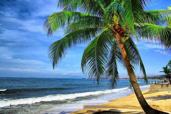 Bãi biển đẹp tại Phan Thiết Mũi Né