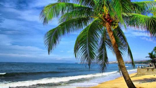 Biển đẹp, ăn ngon ở Phan Thiết – Mũi Né