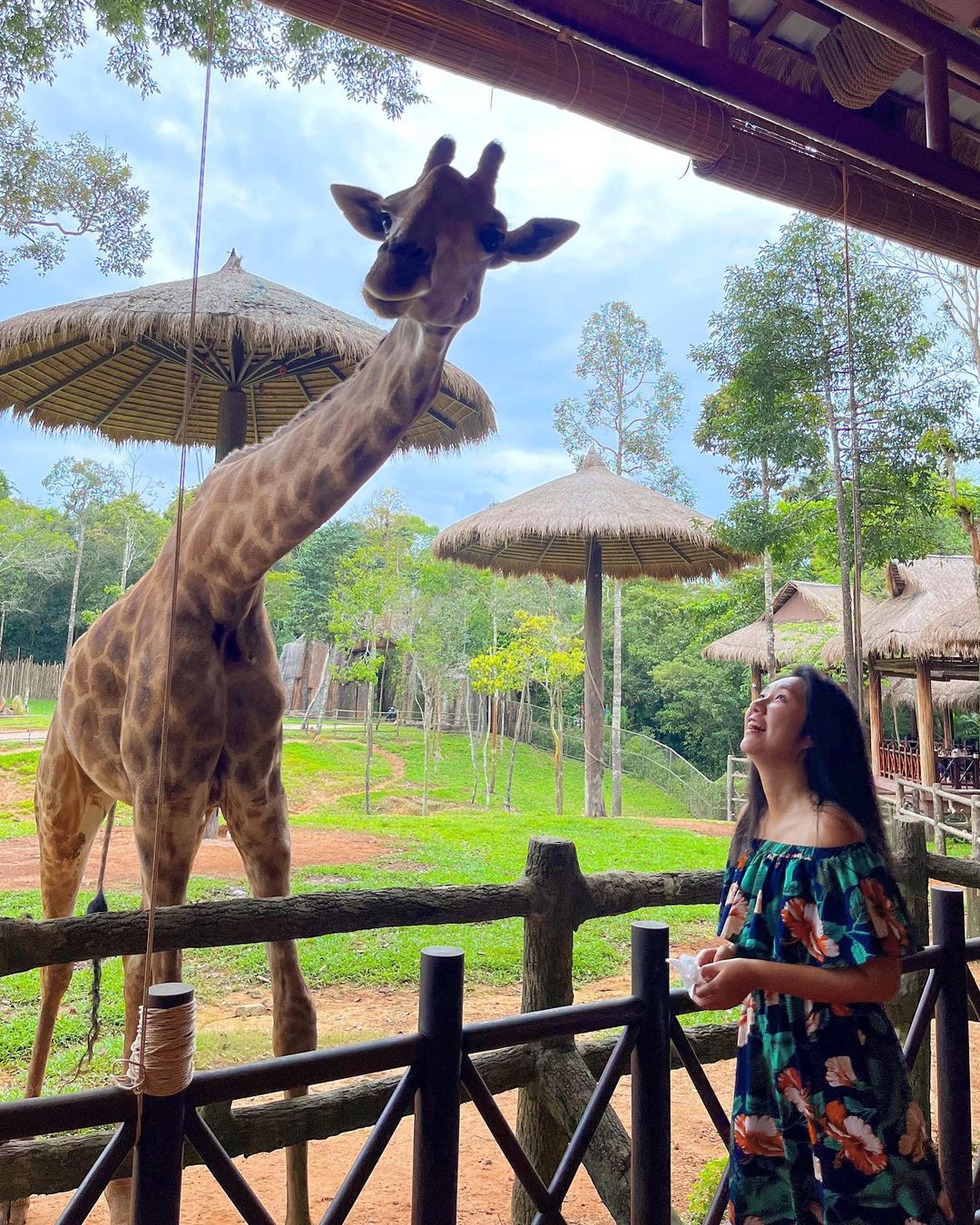 Vinpearl Safari Phú Quốc