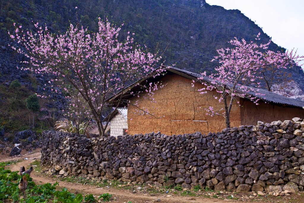phố-cáo-ivivu