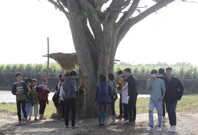 Hàng chục lượt khách mỗi ngày tìm đến cây vông đồng để chụp ảnh sau khi phim Mắt Biếc ra rạp