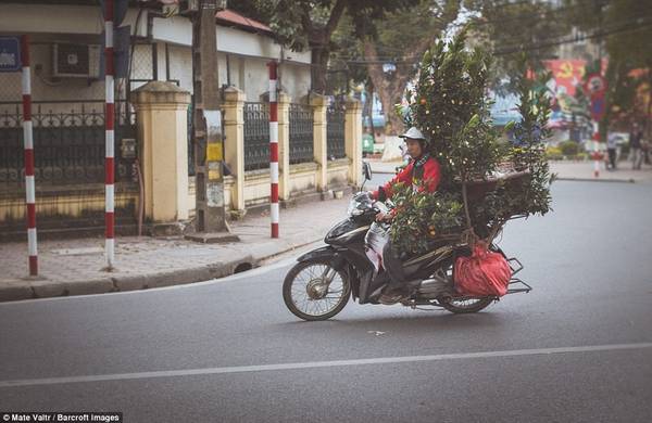 Hình ảnh mộc mạc đời thường tại phố cổ Hà Nội