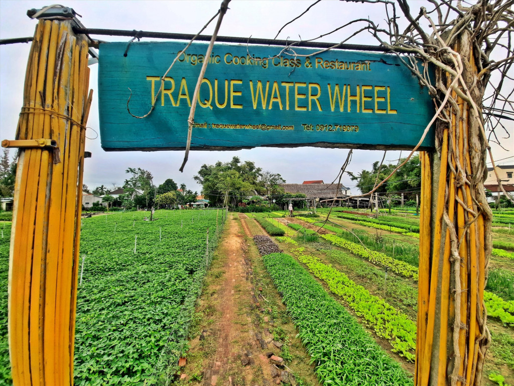 Làng rau Trà Quế Hội An