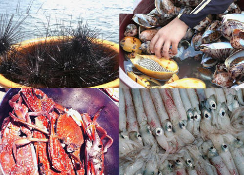 Hải sản tươi ngon Phú Quốc