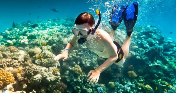 Lặn biển ngắm san hô Phú Quốc du lịch Phú Quốc