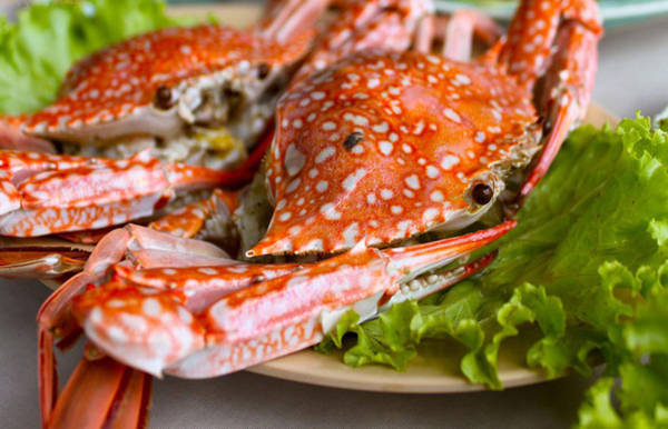 Hải sản tươi ngon Phú Quốc ghẹ luộc trong du lịch Phú Quốc