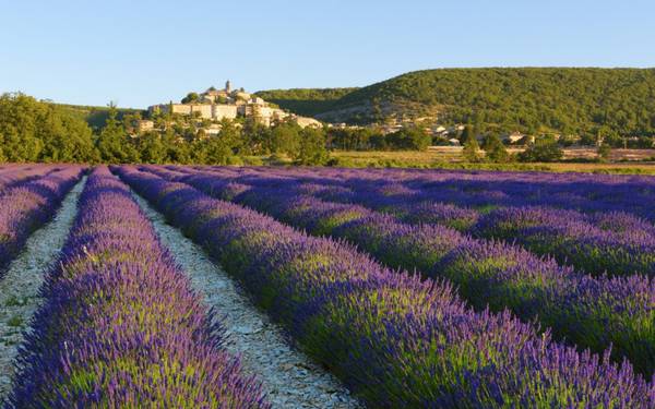 17. Provence, Pháp điểm đến tuần trăng mật