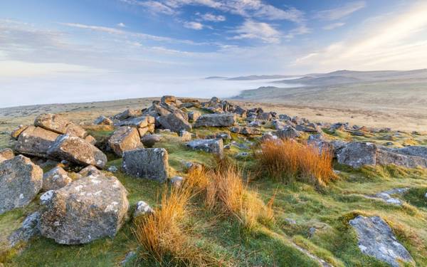 13. Dartmoor, Anh