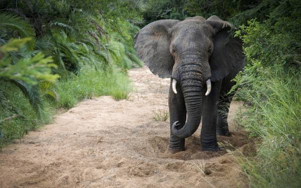 4. KwaZulu-Natal, Nam Phi