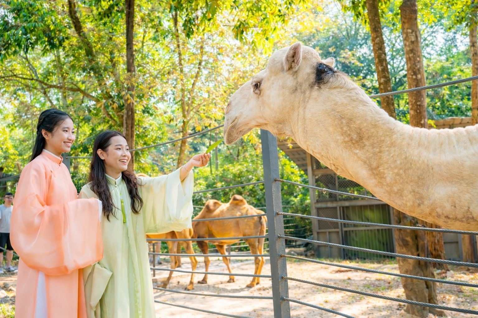 Vui chơi tại Vinpearl Safari Phú Quốc