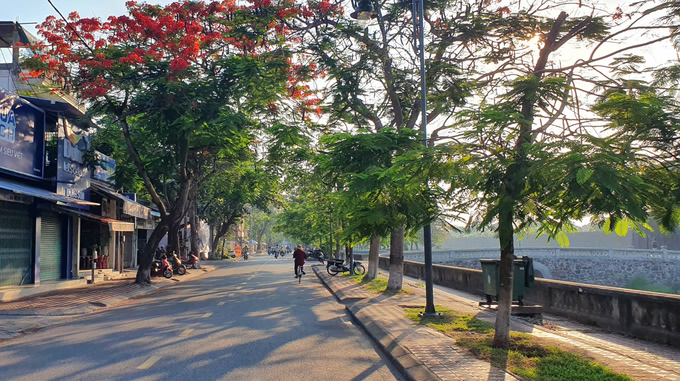 Đường phố rực rỡ trong mùa hoa phượng vĩ ở Huế