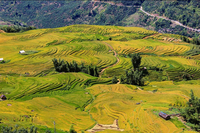 Những ruộng bậc thang với kết cấu độc đáo ở Ngải Thầu