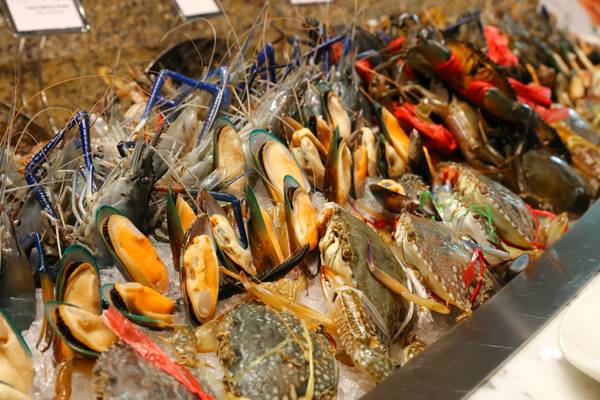Hải sản tươi ngon trong buffet khách sạn Pullman Vũng Tàu Hải sản tươi ngon trong buffet khách sạn Pullman Vũng Tàu