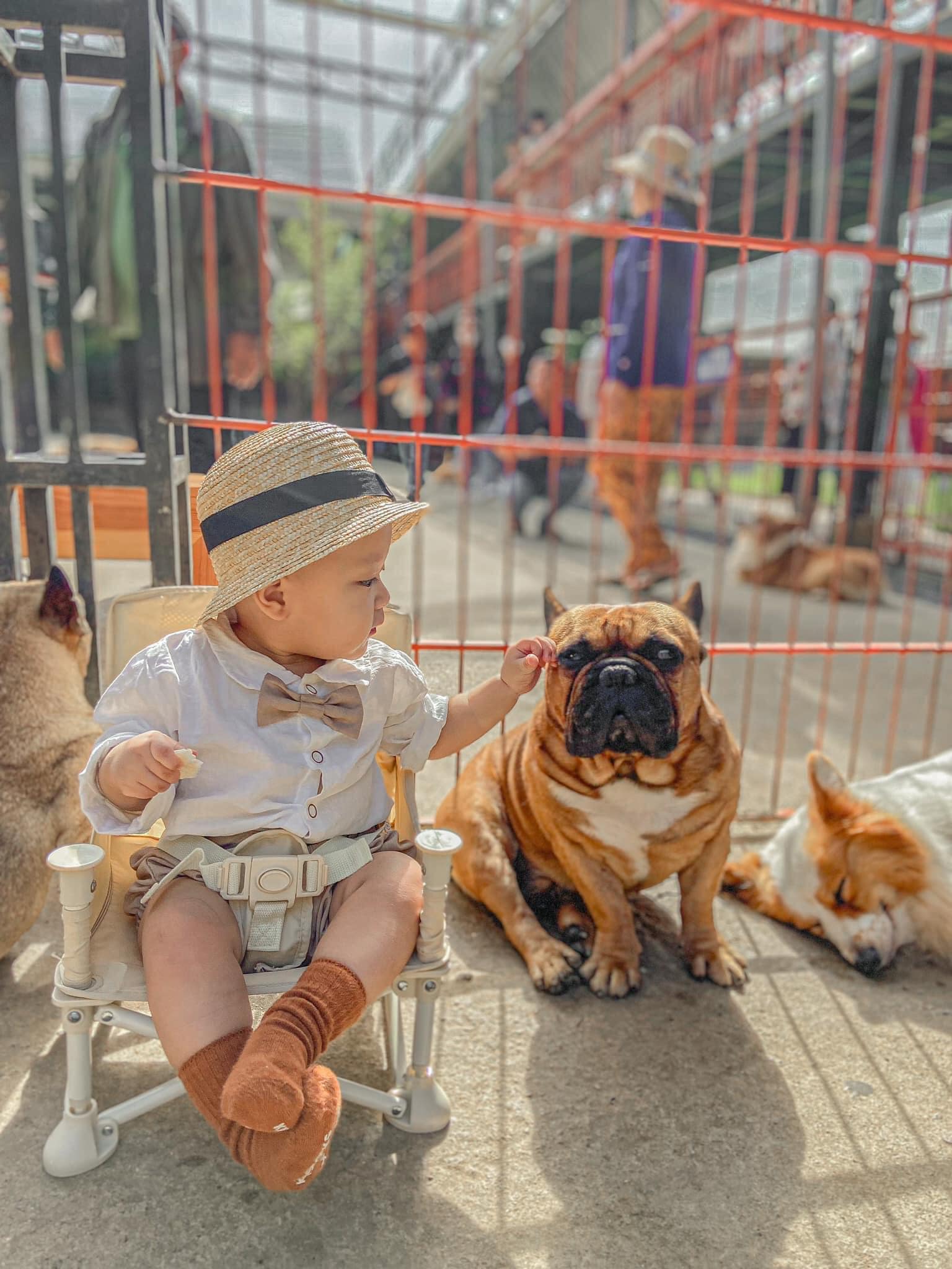 Ảnh: Fb Nông Trại Cún - Puppy Farm