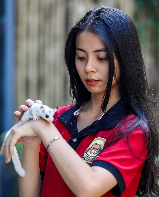 Khách trẻ thích thú vuốt ve con sóc tại quán cà phê alpaca Sài Gòn