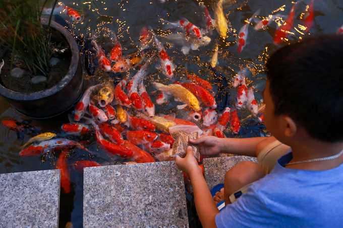 Ngoài không gian hồ nước, quán còn có những khu khác như sân thượng, phòng lạnh, phòng hút thuốc... đều có thể ngắm hồ cá.