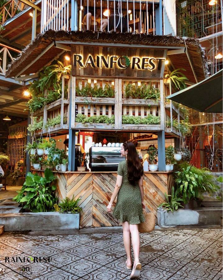 Góc sống ảo cực chill tại Rainforest