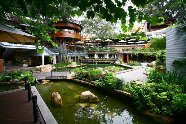 Lần đầu bước vào Du Miên Garden Café (đường Phan Văn Trị, quận Gò Vấp), nhiều người bất ngờ vì trong phố lại có một quán cà phê thoáng rộng, có 4 cây cổ thụ cỡ vài chục năm tuổi, đang sống chung hài hòa cùng kiến trúc mới.