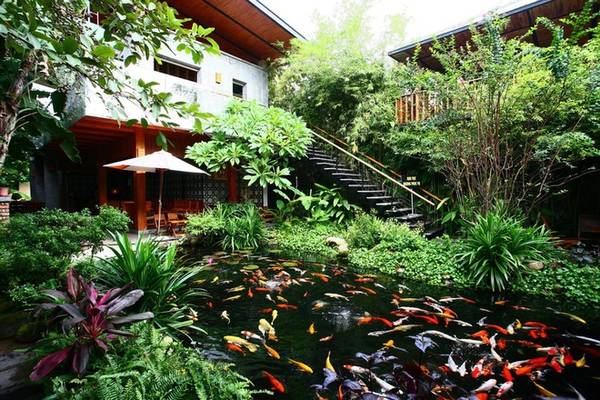 Quán cà phê hút khách bởi cây xanh và hồ cá ở Đà Nẵng