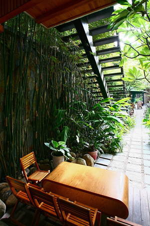 Cây xanh cũng là một vật liệu định hình nên không gian quán, xuất hiện ở khắp nơi, từ cổng, xòa bóng quanh hồ cá, phủ lên các bức tường nhà, len lỏi vào những chỗ ngồi trên lầu... Màu xanh của cây cùng với màu gỗ tạo nên một hoà sắc dịu dàng.