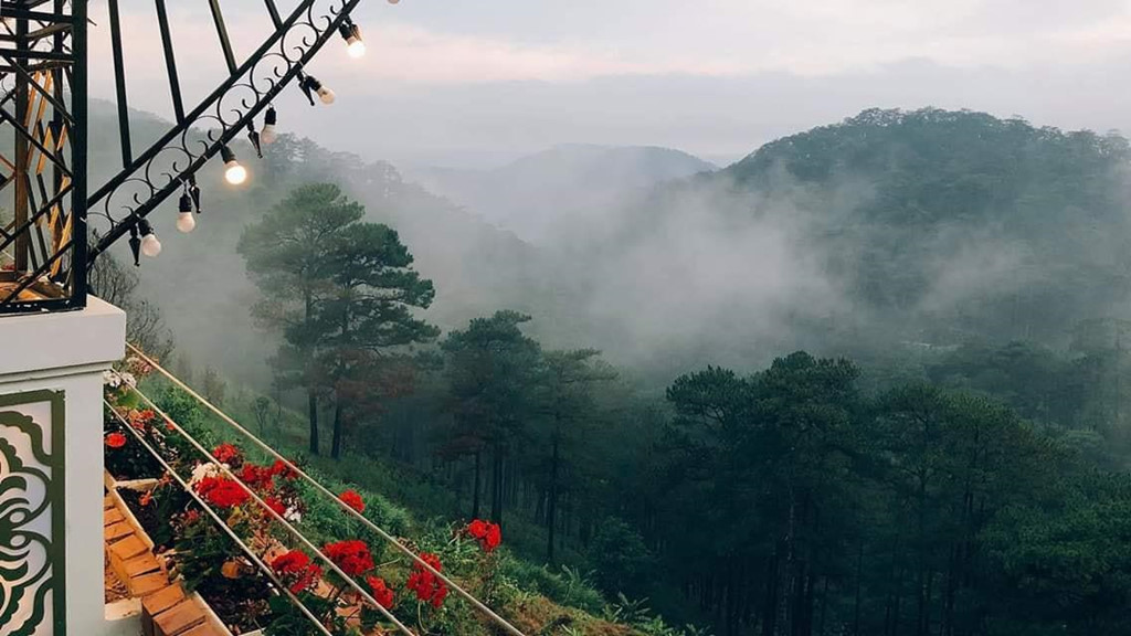 Khung cảnh sương mù bao phủ tại quán cà phê Horizon Đà Lạt