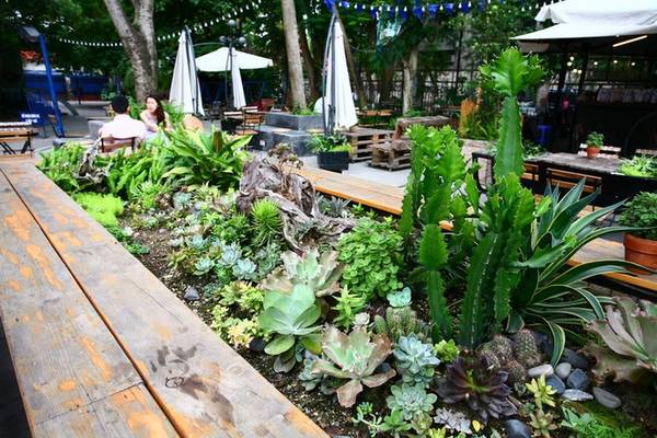 Những tiểu cảnh xanh bên ngoài Gardenista