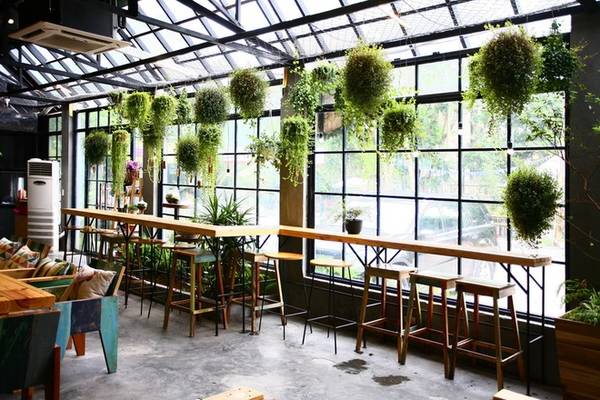 Thiết kế nhà kính độc đáo của Gardenista