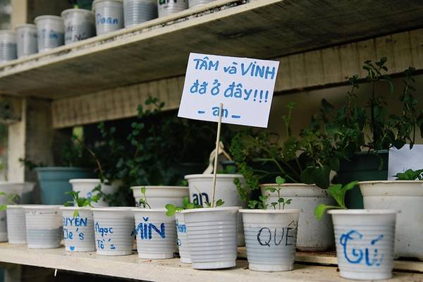 Chủ quán cà phê rau An chia sẻ