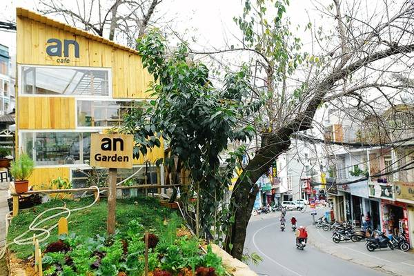 Không gian quán cà phê rau An ngập tràn màu xanh