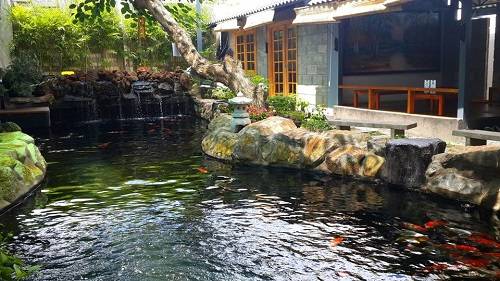 Hồ cá koi được thiết kế công phu. Ảnh: Hồ Nhật Quang