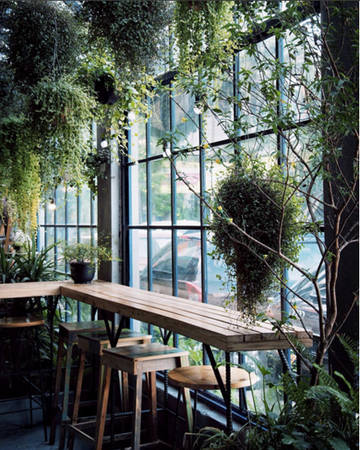 Gardenista Vạn Bảo - Quán cafe đẹp ở Hà Nội ngập tràn cây xanh