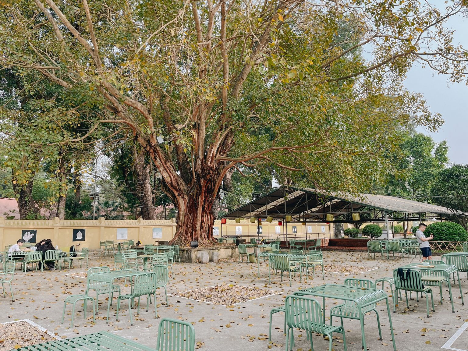 Top 4 quán café Hà Nội ngắm mùa thu lãng mạn