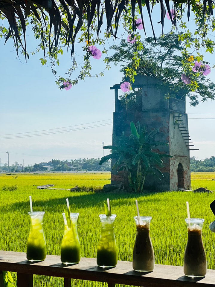 Lò Gạch Cũ giữa đồng lúa tại Hội An