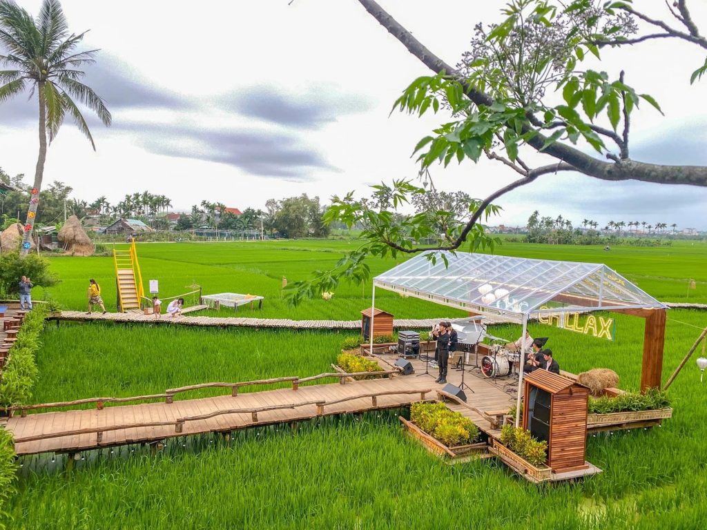 Chic Chillax giữa cánh đồng lúa tại Hội An