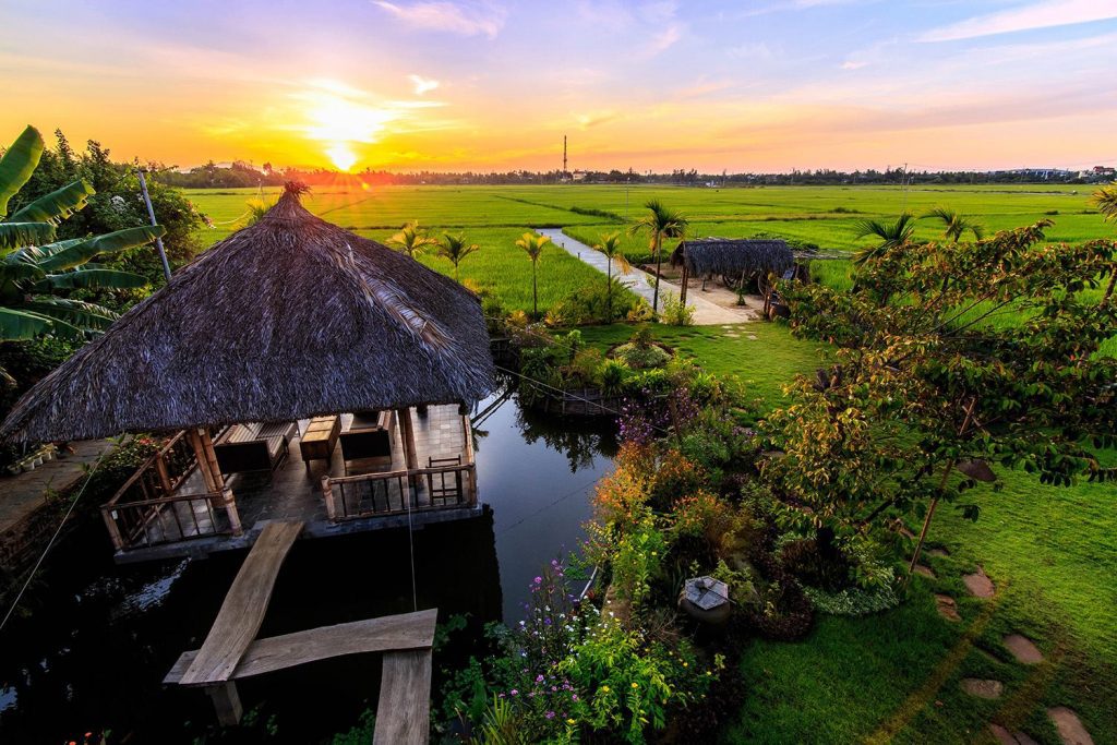 Hoàng hôn bên ruộng lúa tại The Field Hội An