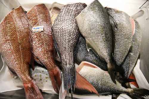 Sai lầm về sushi với các loại cá khác nhau