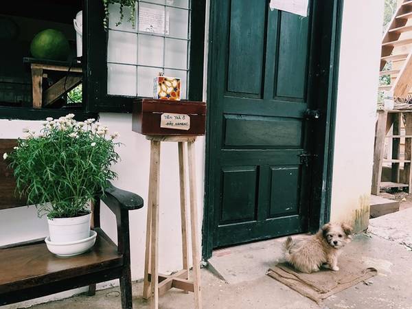 Dù quán không có biển hiệu hay chỉ dẫn, nhưng nhiều người vẫn cất công tìm đến không gian trong lành, yên tĩnh và những nụ cười thân thiện, mến khách của các bạn trẻ câm điếc. Chia sẻ về thùng gỗ đựng tiền công khai, một thành viên của dự án cho biết quán không hề lo bị mất trộm, bởi "dự án này giúp các bạn điếc - khiếm thính, thì không có ai lỡ lừa chúng mình đâu".