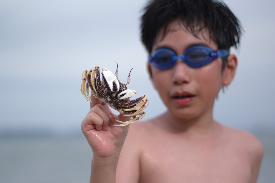 Hòn Gội mang đến không gian tĩnh lặng khi du lịch Quảng Ninh