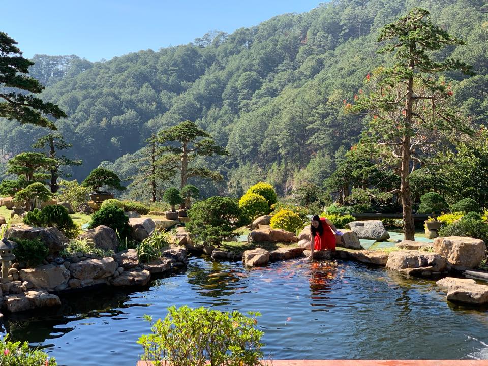 Hồ cá Koi Nhật Bản tại QUE Garden Đà Lạt