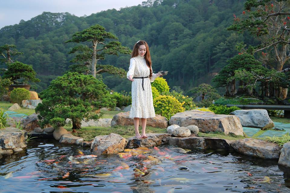 Không gian hồ cá Koi QUE Garden Đà Lạt