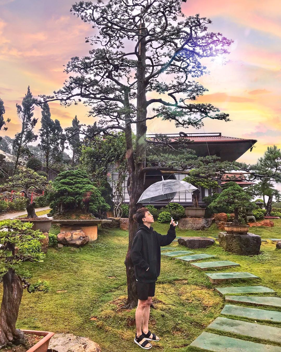 Bonsai Nhật Bản tại Que Garden Đà Lạt