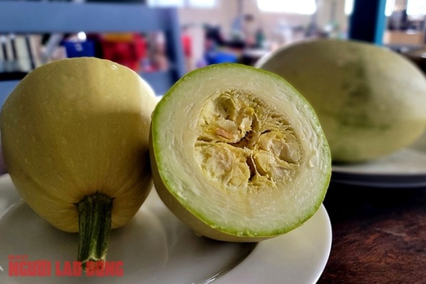 quả-bí-sợi-mì-ivivu-5
