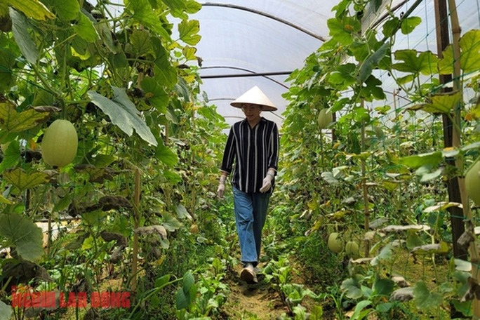 quả-bí-sợi-mì-ivivu-6