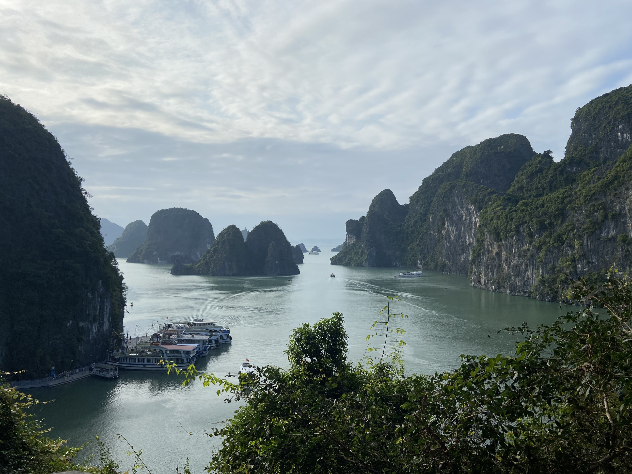 Vịnh Hạ Long - nơi có nhiều món ăn ngon Hạ Long